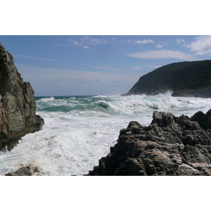 รูปถ่าย แอฟริกาใต้(South Africa) อุทยานแห่งชาติซิตซิคัมมา(Tsitsikamma National Park) 2008-09 165