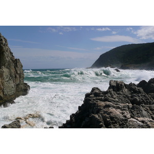 รูปถ่าย แอฟริกาใต้(South Africa) อุทยานแห่งชาติซิตซิคัมมา(Tsitsikamma National Park) 2008-09 285