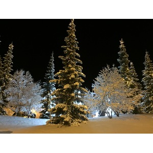 รูปถ่าย ฝรั่งเศส(France) เมแฌฟว์(Megeve) 2016-02 71