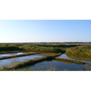 รูปถ่าย ฝรั่งเศส(France) เกรองเดอ(Guerande) นาเกลือ(Les marais salants) 2007-08 16
