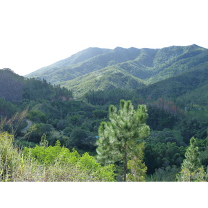 รูปถ่าย นิวแคลิโดเนีย(New Caledonia) ถนนจากกานาลาไปลาฟัว(Canala to La Foa road) 2010-05 10