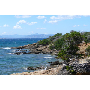 รูปถ่าย ฝรั่งเศส(France) เกาะปอร์เกอรอล(Porquerolles Island) หาดเลอแก็ง(Lequin beach) 2008-05 10