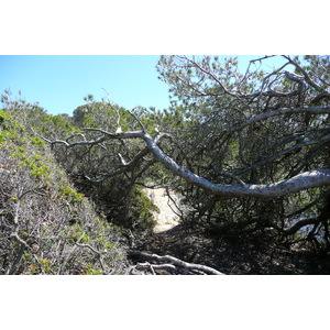 รูปถ่าย ฝรั่งเศส(France) เกาะปอร์เกอรอล(Porquerolles Island) หาดเลอแก็ง(Lequin beach) 2008-05 16