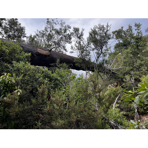 รูปถ่าย ฝรั่งเศส(France) คอร์สิคา(Corsica) คีซา(Chisa) 2022-07 47