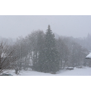 รูปถ่าย ฝรั่งเศส(France) เมแฌฟว์(Megeve) มงดาร์บัว(Mont d'Arbois) 2010-02 294