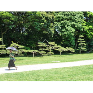 รูปถ่าย ญี่ปุ่น(Japan) โตเกียว(Tokyo) สวนฮามะริคิว(Hama rikyu Gardens) 2010-06 17