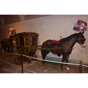 รูปถ่าย ฝรั่งเศส(France) ปราสาทโว-เลอ-วีกงต์(Vaux Le Vicomte Castle) พิพิธภัณฑ์รถม้า(Horse driven carriages museum) 2010-09 13
