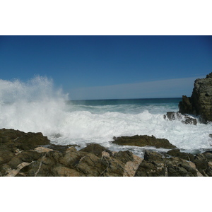 รูปถ่าย แอฟริกาใต้(South Africa) อุทยานแห่งชาติซิตซิคัมมา(Tsitsikamma National Park) 2008-09 286