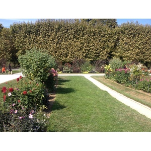 รูปถ่าย ฝรั่งเศส(France) ปารีส(Paris) สวนพันธ์ุพืช(Jardin des Plantes) 2014-09 28