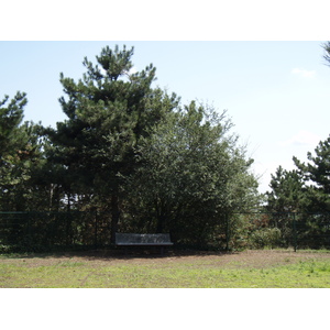 รูปถ่าย ฝรั่งเศส(France) วีลเนิฟ-ลา-การาน(Villeneuve La Garenne) สวนช็องเตอแรน(Parc des Chanteraines) 2007-07 47