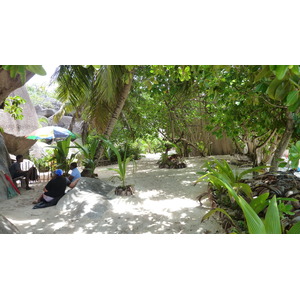 รูปถ่าย เซเชลส์(Seychelles) เกาะลาดีก(La Digue) 2011-10 225