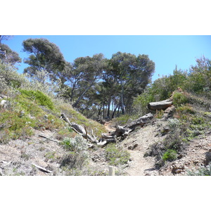 รูปถ่าย ฝรั่งเศส(France) เกาะปอร์เกอรอล(Porquerolles Island) หาดเลอแก็ง(Lequin beach) 2008-05 8