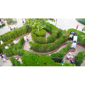 รูปถ่าย ฝรั่งเศส(France) ดิสนีย์แลนด์ปารีส(Disneyland Paris) เขาวงกตอลิซ(Alice Labyrinth) 2007-07 8