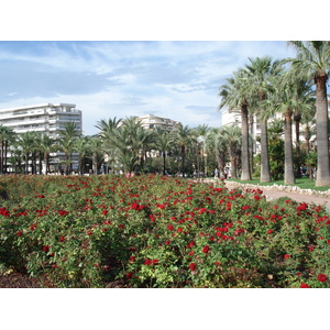 รูปถ่าย ฝรั่งเศส(France) คานส์(Cannes) 2006-09 32