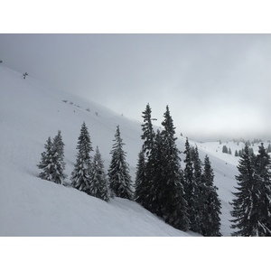 รูปถ่าย ฝรั่งเศส(France) เมแฌฟว์(Megeve) 2016-02 55