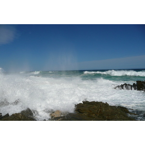 รูปถ่าย แอฟริกาใต้(South Africa) อุทยานแห่งชาติซิตซิคัมมา(Tsitsikamma National Park) 2008-09 189