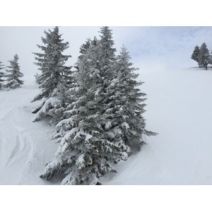 รูปถ่าย ฝรั่งเศส(France) เมแฌฟว์(Megeve) 2016-02 93