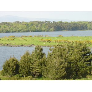 รูปถ่าย ไอร์แลนด์(Ireland) เคอร์รี่(Kerry) ทะเลสาบคารา(Caragh Lake) 2004-05 41