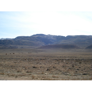 รูปถ่าย คาซัคสถาน(Kazakhstan) ถนนจากอัลมาตีไปหุบผาชารึน(Almaty to Charyn Canyon road) 2007-03 56