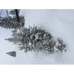 รูปถ่าย ฝรั่งเศส(France) เมแฌฟว์(Megeve) 2016-02 97
