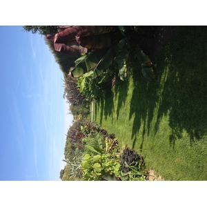 รูปถ่าย ฝรั่งเศส(France) ปารีส(Paris) สวนพันธ์ุพืช(Jardin des Plantes) 2014-09 5