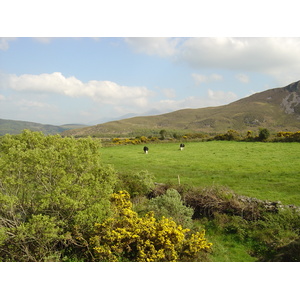 รูปถ่าย ไอร์แลนด์(Ireland) เคอร์รี่(Kerry) ทะเลสาบคารา(Caragh Lake) 2004-05 12