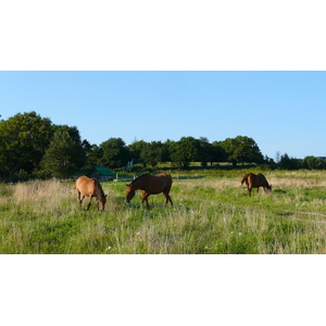 รูปถ่าย ฝรั่งเศส(France) เกรองเดอ(Guerande) 2007-08 15