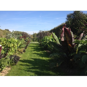 รูปถ่าย ฝรั่งเศส(France) ปารีส(Paris) สวนพันธ์ุพืช(Jardin des Plantes) 2014-09 29