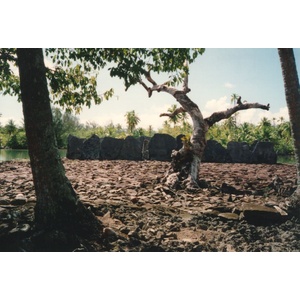รูปถ่าย เฟรนช์โพลี่นีเซีย(Polynesia) 1993-04 26