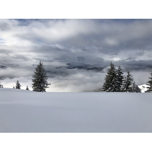 รูปถ่าย ฝรั่งเศส(France) ปรา-ซูร์-อาร์ลี(Praz sur Arly) 2019-12 13
