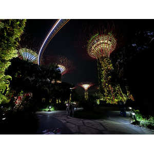 รูปถ่าย สิงคโปร์(Singapore) การ์เดนส์บายเดอะเบย์(Garden by the bay) 2023-01 58