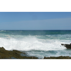 รูปถ่าย แอฟริกาใต้(South Africa) อุทยานแห่งชาติซิตซิคัมมา(Tsitsikamma National Park) 2008-09 208