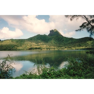 รูปถ่าย เฟรนช์โพลี่นีเซีย(Polynesia) 1993-04 76