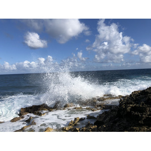 รูปถ่าย กวาเดอลูป(Guadeloupe) แหลมคาสเซิลพอยต์(Castle Point) 2021-02 98