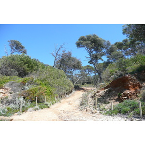 รูปถ่าย ฝรั่งเศส(France) เกาะปอร์เกอรอล(Porquerolles Island) หาดกูร์ตาด(Courtade beach) 2008-05 74