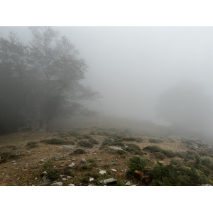 รูปถ่าย ฝรั่งเศส(France) คอร์สิคา(Corsica) ที่พักกัลเลรุชชู(Refuge de Callerucciu) 2022-06 6