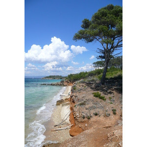 รูปถ่าย ฝรั่งเศส(France) เกาะปอร์เกอรอล(Porquerolles Island) หาดกูร์ตาด(Courtade beach) 2008-05 41