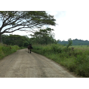 รูปถ่าย ฟิจิ(Fiji) ถนนจากนาดีไปนาตาโดลา(Nadi to Natadola road) 2010-05 71