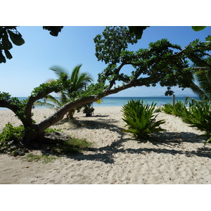 รูปถ่าย ฟิจิ(Fiji) เรือสำราญกัปตันคุก(Captain Cook Cruises) 2010-05 46