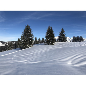รูปถ่าย ฝรั่งเศส(France) ปรา-ซูร์-อาร์ลี(Praz sur Arly) 2019-12 112