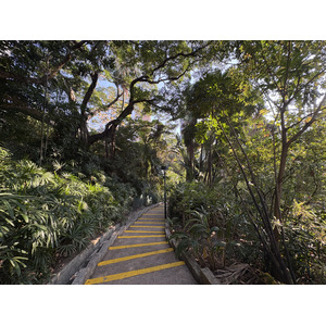 รูปถ่าย ฮ่องกง(Hong-Kong) จิมซาจุ่ย(Tsim Sha Tsui) 2026-01 26