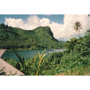 รูปถ่าย เฟรนช์โพลี่นีเซีย(Polynesia) 1993-04 2