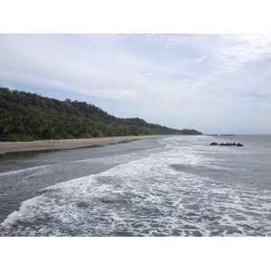 รูปถ่าย คอสตาริกา(Costa Rica) มอนเตซูมา(Montezuma) 2015-03 245