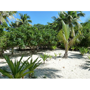 รูปถ่าย ฟิจิ(Fiji) 2010-05 1