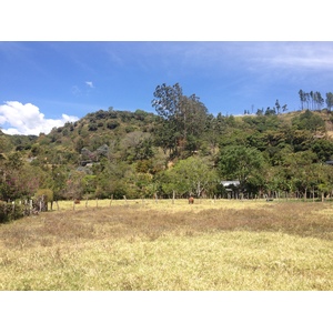 รูปถ่าย ปานามา(Panama) โบเกเต(Boquete) 2015-03 16