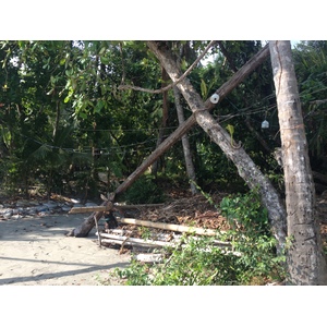 รูปถ่าย คอสตาริกา(Costa Rica) มานวยล์อันโตนีโอ(Manuel Antonio) 2015-03 241