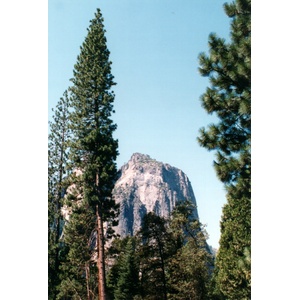 รูปถ่าย สหรัฐอเมริกา(United States) อุทยานแห่งชาติโยเซมิที(Yosemite National Park) 1992-08 2