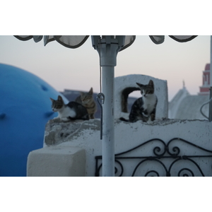 รูปถ่าย กรีก(Greece) ซานโตรินี(Santorini) บ้านถ้ำโอยา(Oia cave house) 2016-07 22