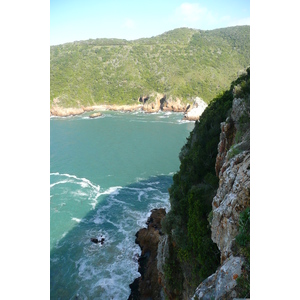 รูปถ่าย แอฟริกาใต้(South Africa) ไนส์นาเฮดส์(Knysna Heads) 2008-09 11
