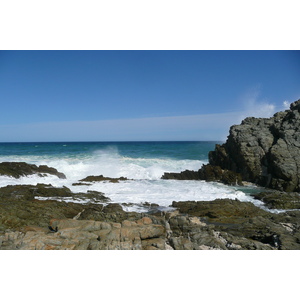 รูปถ่าย แอฟริกาใต้(South Africa) อุทยานแห่งชาติซิตซิคัมมา(Tsitsikamma National Park) 2008-09 303